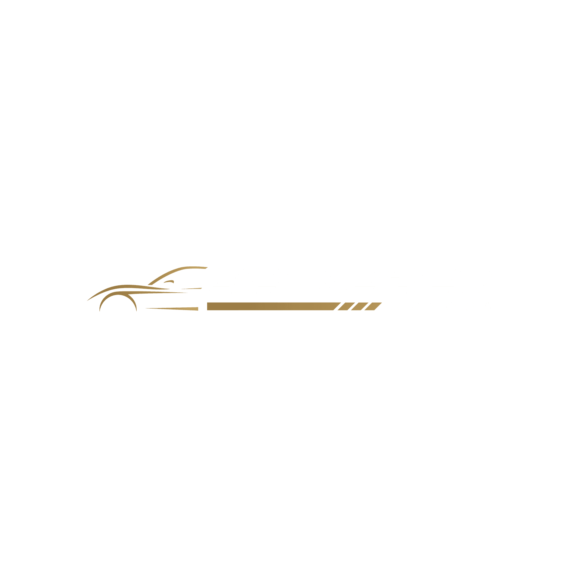 Schneider Motors
